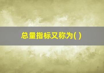 总量指标又称为( )